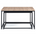 Set van 2 geneste salontafels DENTON 60/70 van zwart metaal en hout in industrieel design.