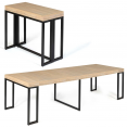 TORONTO uitschuifbare consoletafel, 14-zits, 300 cm, industrieel ontwerp