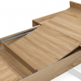 PHOENIX uitschuifbare eettafel 10-12 personen hout en wit 200-300 cm