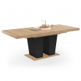 ELIAD uitschuifbare eettafel 6-10 personen hout en zwart 160-200 cm