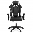 CARTER gaming fauteuil met 4D opklapbare armleuningen en verstelbare hoogte, zwart en wit