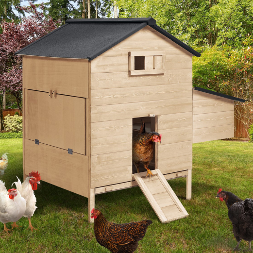 Poulailler chalet XL pour poules avec pondoir en bois