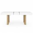 Table à manger extensible rectangle PHOENIX 6-10 personnes blanc pieds bois 160-200 cm