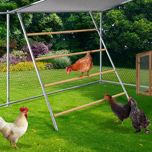 Des poules dans un enclos installé dans un jardin