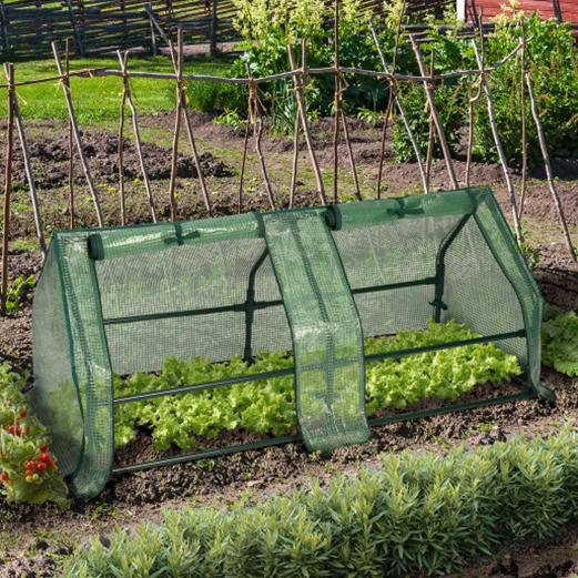 Une serre de jardin dans un potager