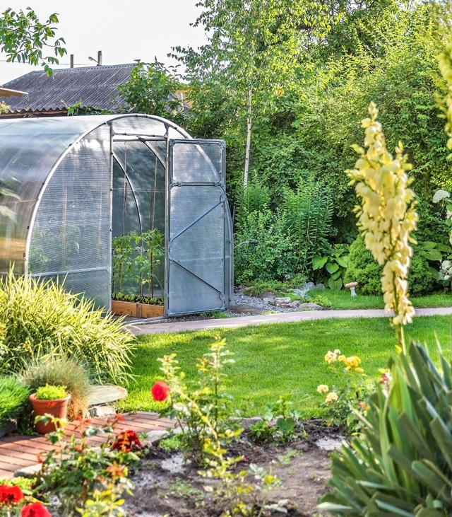 jardin verdoyant avec du gazon, une serre tunnel à structure métallique et bâche transparente au fond
