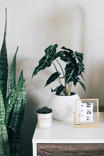 Une table de chevet moderne décorée de plantes vertes et d’une bougie.