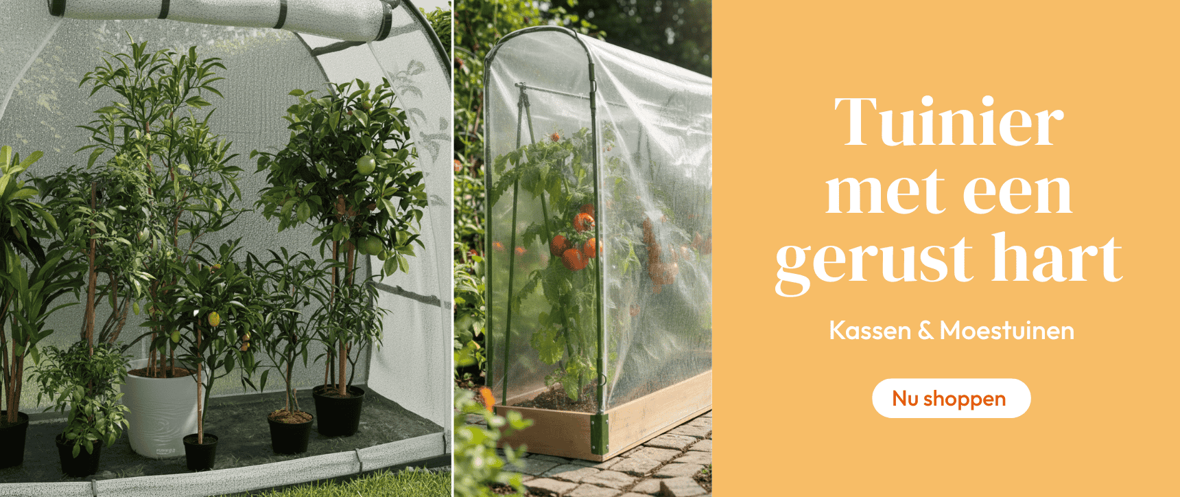 Selectie van kassen en moestuinen